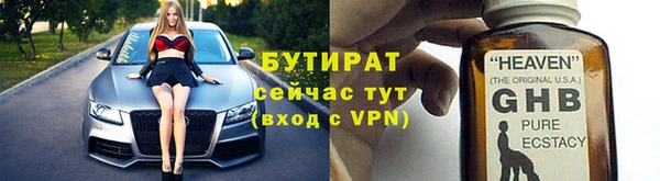 сатива Балахна