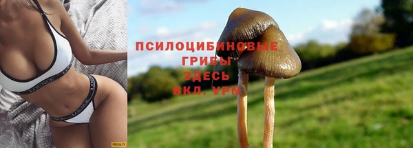 прущая мука Арсеньев