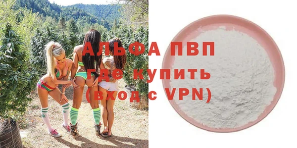 сатива Балахна