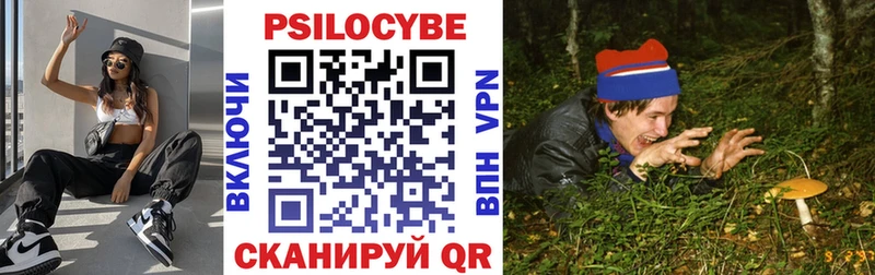 купить наркотики сайты  Унеча  Псилоцибиновые грибы GOLDEN TEACHER 